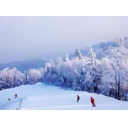 哈尔滨具有高端上档次的5S级滑雪场