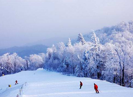 哈尔滨滑雪场